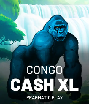 Congo Cash XL